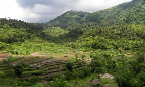 Zdjęcie INDONEZJA / Bali / okolice Amed / Tarasy ryżowe 5