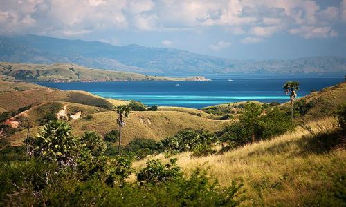 Zdjecie INDONEZJA / Male Wyspy Sundajskie / Rinca / Rinca Island