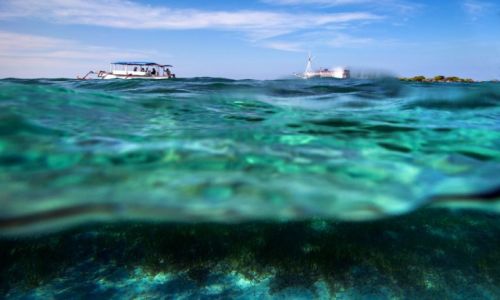 Zdjecie INDONEZJA / Sumbawa / pomiedzy Lombok, a Sumbawa / ...