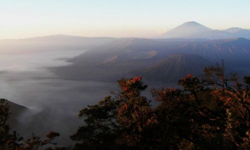 Zdjecie INDONEZJA / Jawa / Kandela Bromo / Park wulkaniczny