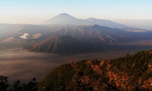 Zdjecie INDONEZJA / Jawa / Kandela Bromo / Park wulkaniczny