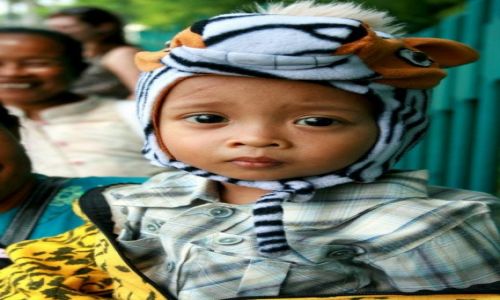 Zdjecie INDONEZJA / Jawa / Jogjakarta / zeberka