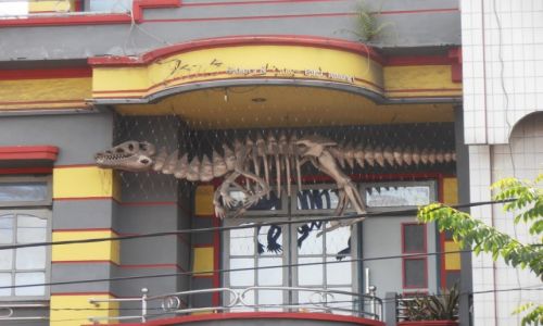 Zdjęcie INDONEZJA / sumatra / okolice medan / szkielet dinozaura