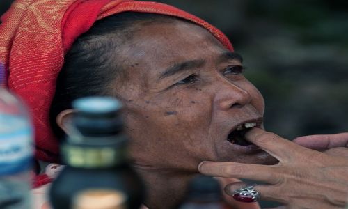 Zdjecie INDONEZJA / Lombok / Lombok / Portret z dentysta