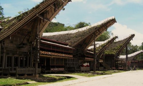 Zdjcie INDONEZJA / Suliwasi / Kete Kesu / Ulica w wiosce Toradw