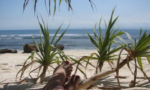 Zdjecie INDONEZJA / Lembongan / Lembongan / * * * 