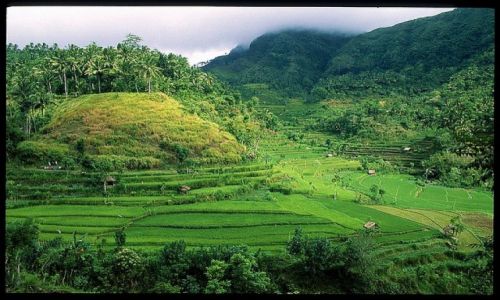 Zdjecie INDONEZJA / Nusa Tenggara  / Bali,Amed / Indonezja 50