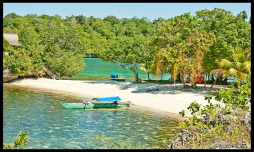 Zdjecie INDONEZJA / Sulawesi / Togeans / Poyalisa