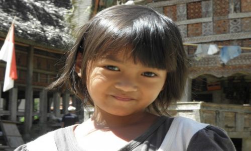 Zdjęcie INDONEZJA / Azja / Sulawesi  (Celebes) / Konkurs