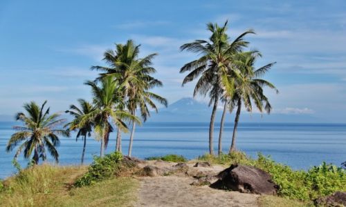 Zdjecie INDONEZJA / - / Lombok / Widoczek