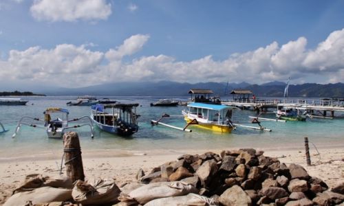 Zdjcie INDONEZJA / Gili Island / Gili Island / Pajczki 