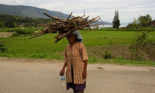 Zdjcie INDONEZJA / Sumatra / Jezioro Toba / Klasyczny sposb noszenia rzeczy