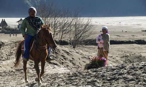 Zdjecie INDONEZJA / - / wulkan Bromo / jedziec