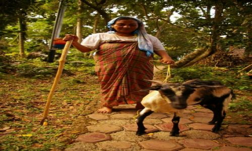 Zdjęcie INDONEZJA / Sumatra / Pulau Weh / Biznespasterka