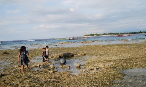 Zdjęcie INDONEZJA / pomiedzy Bali a Lombok / GiliTrawangan / Skarby Odplywu