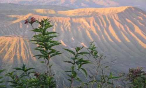 Zdjecie INDONEZJA / Bromo / Bromo / Krater wulkanu