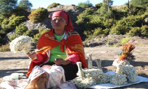 Zdjecie INDONEZJA / Bromo / Bromo / Handel na wulkanie