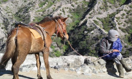 Zdjecie INDONEZJA / Bromo / Bromo / Czekajc na klienta