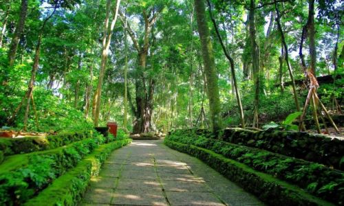 Zdjecie INDONEZJA / Bali / Ubud / Monkey Forest-Ubud(Bali)