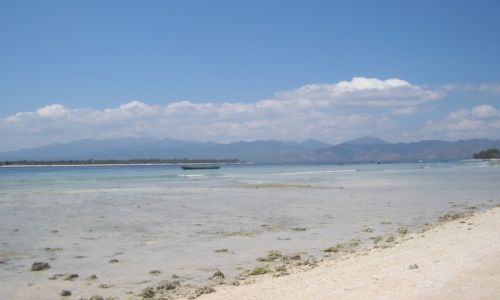Zdjcie INDONEZJA / GILI ISLAND / GILI / GILI TRAWNAGAN