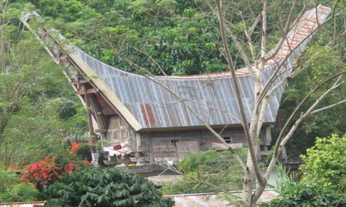 Zdjecie INDONEZJA / Celebes / Celebes / Typowa budowla Toradw