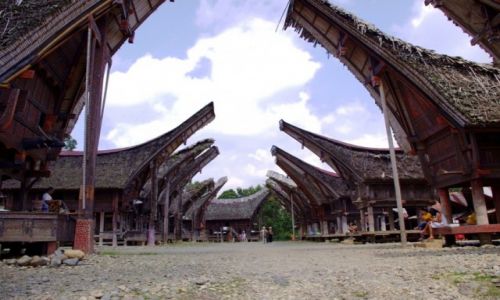 Zdjecie INDONEZJA / Sulawesi ( Celebes ) / Tana Toraja / Wioska tongkonanw  ludu Toraja