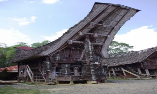 Zdjęcie INDONEZJA / Sulawesi / Tana Toraja / Tongkonan