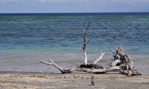 Zdjecie INDONEZJA / Gili / Trawangan / morz 4