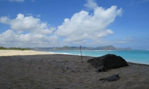 Zdjecie INDONEZJA / Lombok / okolice Selong Belank / Lombok -dzikie plae 