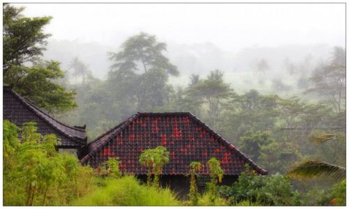 Zdjcie INDONEZJA / Bali / Sidemen / I love the tropical rain