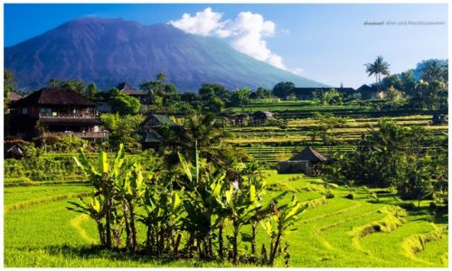 Zdjcie INDONEZJA / Bali / Sidemen / Mt. Agung