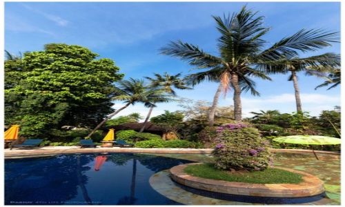 Zdjęcie INDONEZJA / Bali / Lovina / Tropical Garden