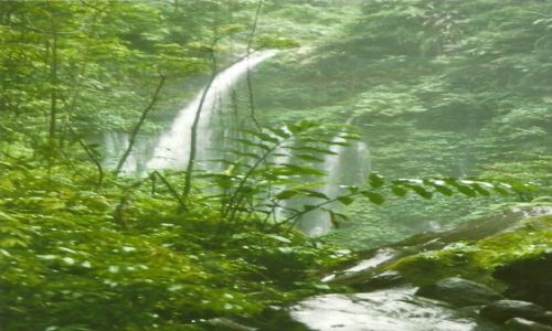 Zdjcie INDONEZJA / Lombok / Gondang / Wodospad Air Terjun Gannga