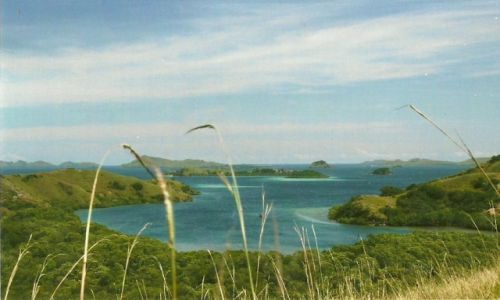 Zdjcie INDONEZJA / Nusa Tenggara / Rinca / Sielsko
