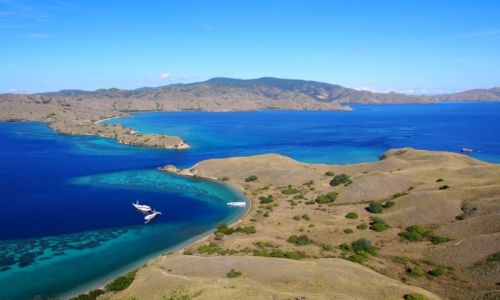 Zdjecie INDONEZJA / Komodo / Gili Laba / Komodo o krok