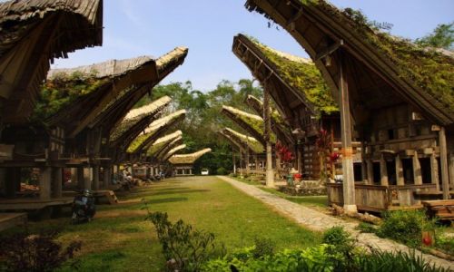 Zdjecie INDONEZJA / Sulawesi / Tana Toraja / Wioska tongkonanw