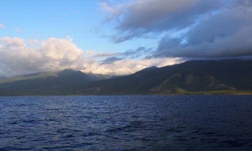 Zdjęcie INDONEZJA / Sumbawa / Nieopodal brzegów / U brzegów Sumbawy