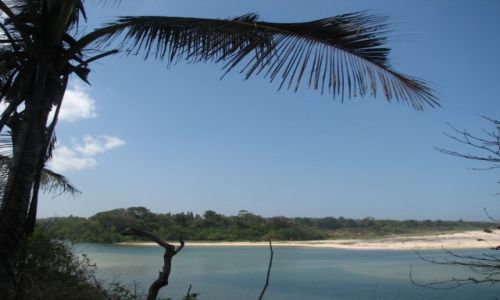 Zdjęcie INDONEZJA / SUMBA / RATEENGARO / wioska