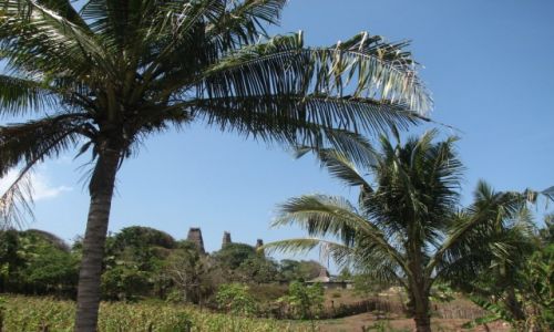 Zdjęcie INDONEZJA / SUMBA / RATEENGARO / wioska