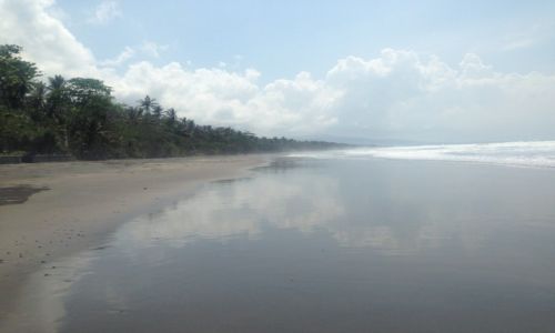 INDONEZJA / - / okolice Pekutatan, zach. Bali / Dzikie plae Bali