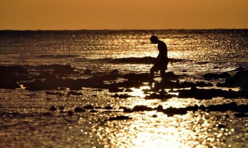 Zdjecie INDONEZJA / Gili / Gili Trawangan / owca koralowcw