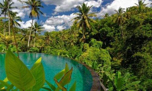 Zdjęcie INDONEZJA / Bali / Ubud / Basen