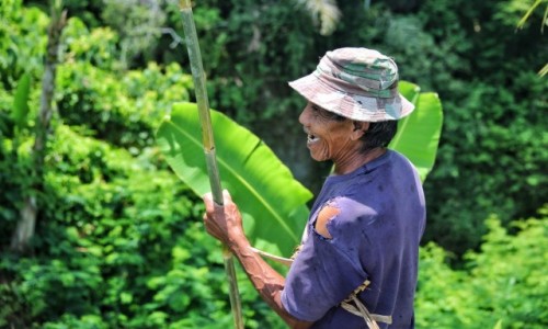 Zdjcie INDONEZJA / Bali / Ubud / Miejscowy rolnik