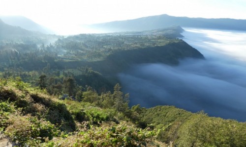 Zdjcie INDONEZJA / JAVA /BROMO  / prawie tu przy Bromo  / okolice Bromo 