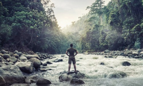 Zdjecie INDONEZJA / Sumatra / Gunung Leusur / Sumatra jungle trekking