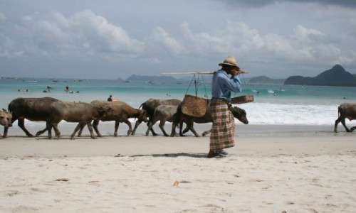 Zdjecie INDONEZJA / Jawa, Bali, Nusa Lembongan, Gili Islands, Lombok / Jawa, Bali, Nusa Lembongan, Gili Islands, Lombok / INDONEZJA