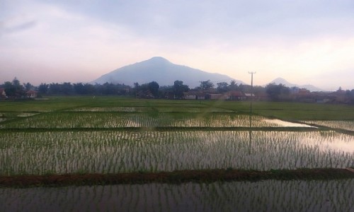 Zdjcie INDONEZJA / Jawa / trasa Bandung Yogyakarta / jawajskie pejzae