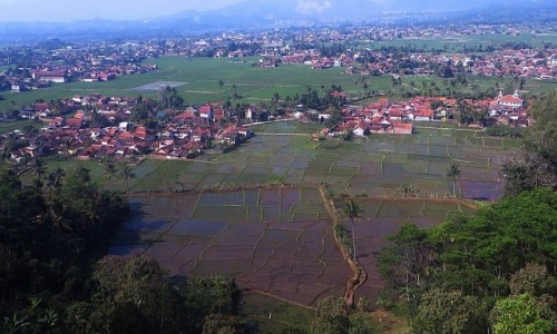 Zdjcie INDONEZJA / Jawa / trasa Bandung Yogyakarta / jawajskie pejzae
