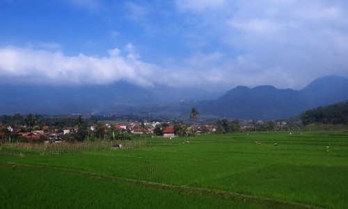 Zdjcie INDONEZJA / Jawa / trasa Bandung Yogyakarta / jawajskie pejzae