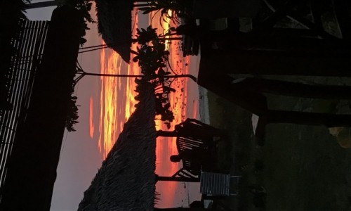 Zdjecie INDONEZJA / - / Panglao / Indonezyjski zachd soca